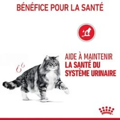 Royal Canin - Sachets Urinary Care En Sauce Pour Chat - 12x85g -Chats Chiens Articles Magasin 76814