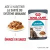Royal Canin - Sachets Urinary Care En Sauce Pour Chat - 12x85g 2 Royal Canin - Sachets Urinary Care En Sauce Pour Chat - 12x85g -Chats Chiens Articles Magasin 76822