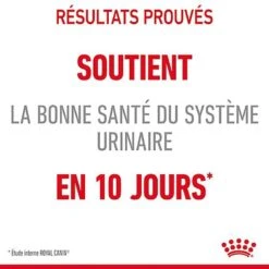 Royal Canin - Sachets Urinary Care En Sauce Pour Chat - 12x85g -Chats Chiens Articles Magasin 76823