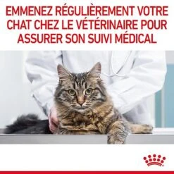 Royal Canin - Sachets Hairball Care En Sauce Pour Chat - 12x85g -Chats Chiens Articles Magasin 76830