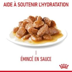 Royal Canin - Sachets Hairball Care En Sauce Pour Chat - 12x85g -Chats Chiens Articles Magasin 76836