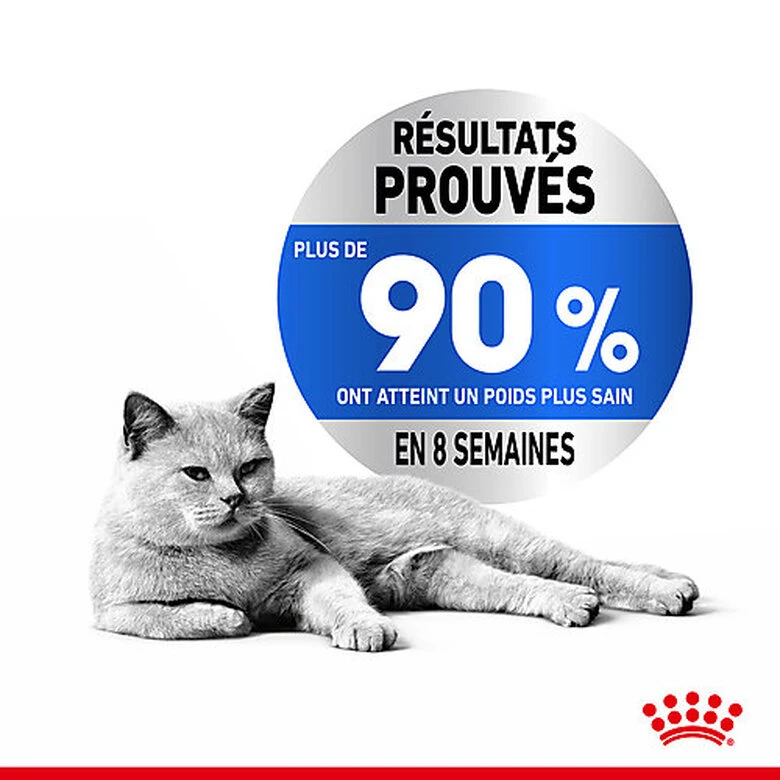 Royal Canin - Sachets Fraicheur Light Weight Care En Mousse Pour Chat - 12x85g 5 Royal Canin - Sachets Fraicheur Light Weight Care En Mousse Pour Chat - 12x85g – Image 3