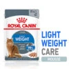 Royal Canin - Sachets Fraicheur Light Weight Care En Mousse Pour Chat - 12x85g -Chats Chiens Articles Magasin 76843