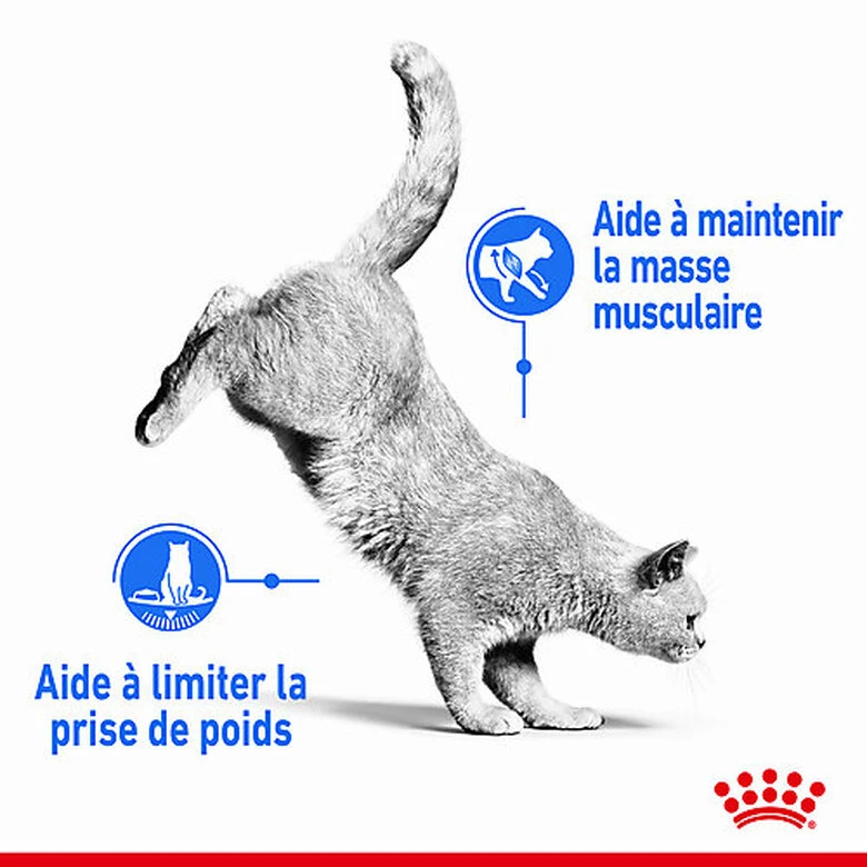 Royal Canin - Sachets Fraicheur Light Weight Care En Mousse Pour Chat - 12x85g 4 Royal Canin - Sachets Fraicheur Light Weight Care En Mousse Pour Chat - 12x85g – Image 2