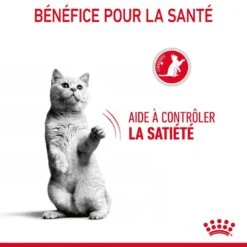 Royal Canin - Croquettes Appetite Control Care Pour Chat - 3,5Kg -Chats Chiens Articles Magasin 77643