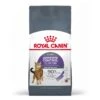 Royal Canin - Croquettes Appetite Control Care Pour Chat - 3,5Kg -Chats Chiens Articles Magasin 77650